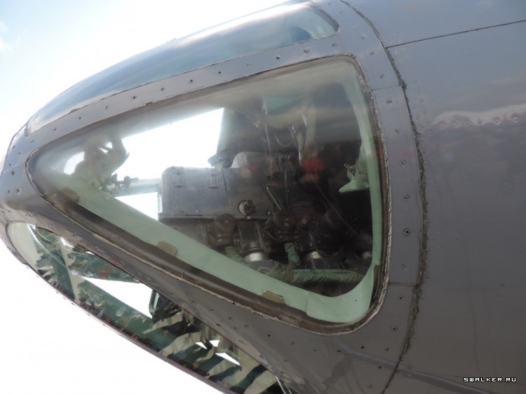 1 Октября 2016, 80 Лет Шаголу