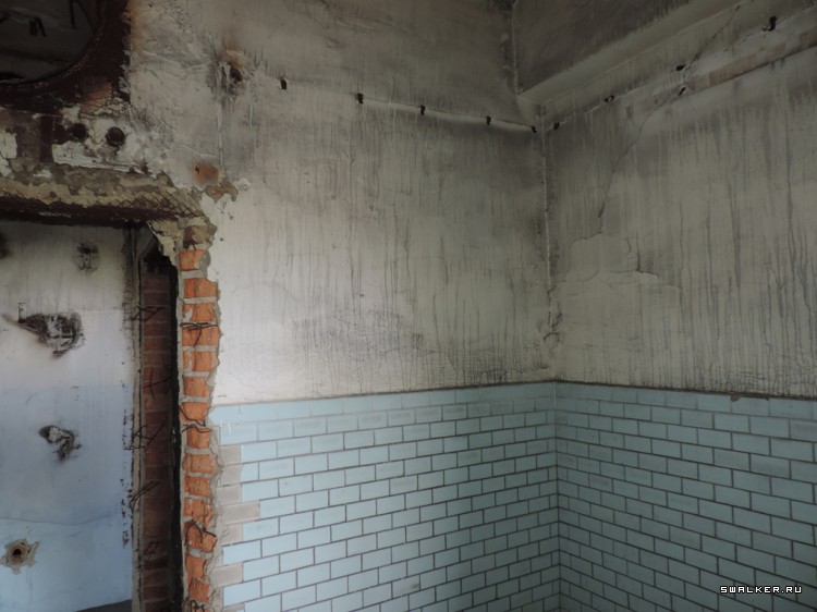 НПК Биопрепарат Степногорск Прогресс