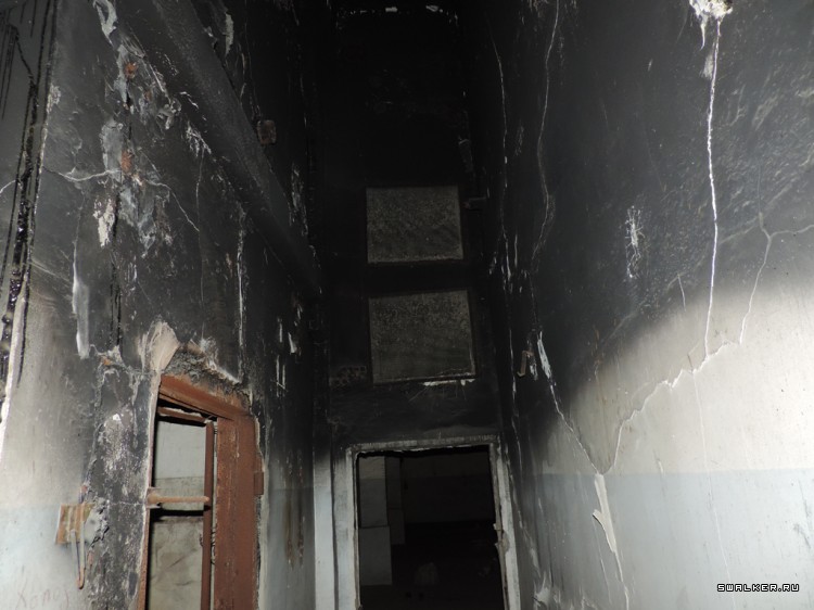 НПК Биопрепарат Степногорск Прогресс