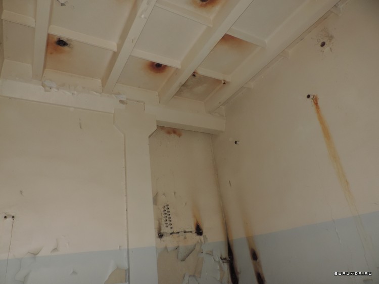 НПК Биопрепарат Степногорск Прогресс