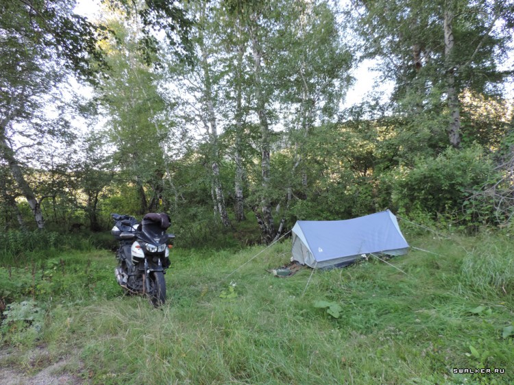 НПК Биопрепарат Степногорск Прогресс