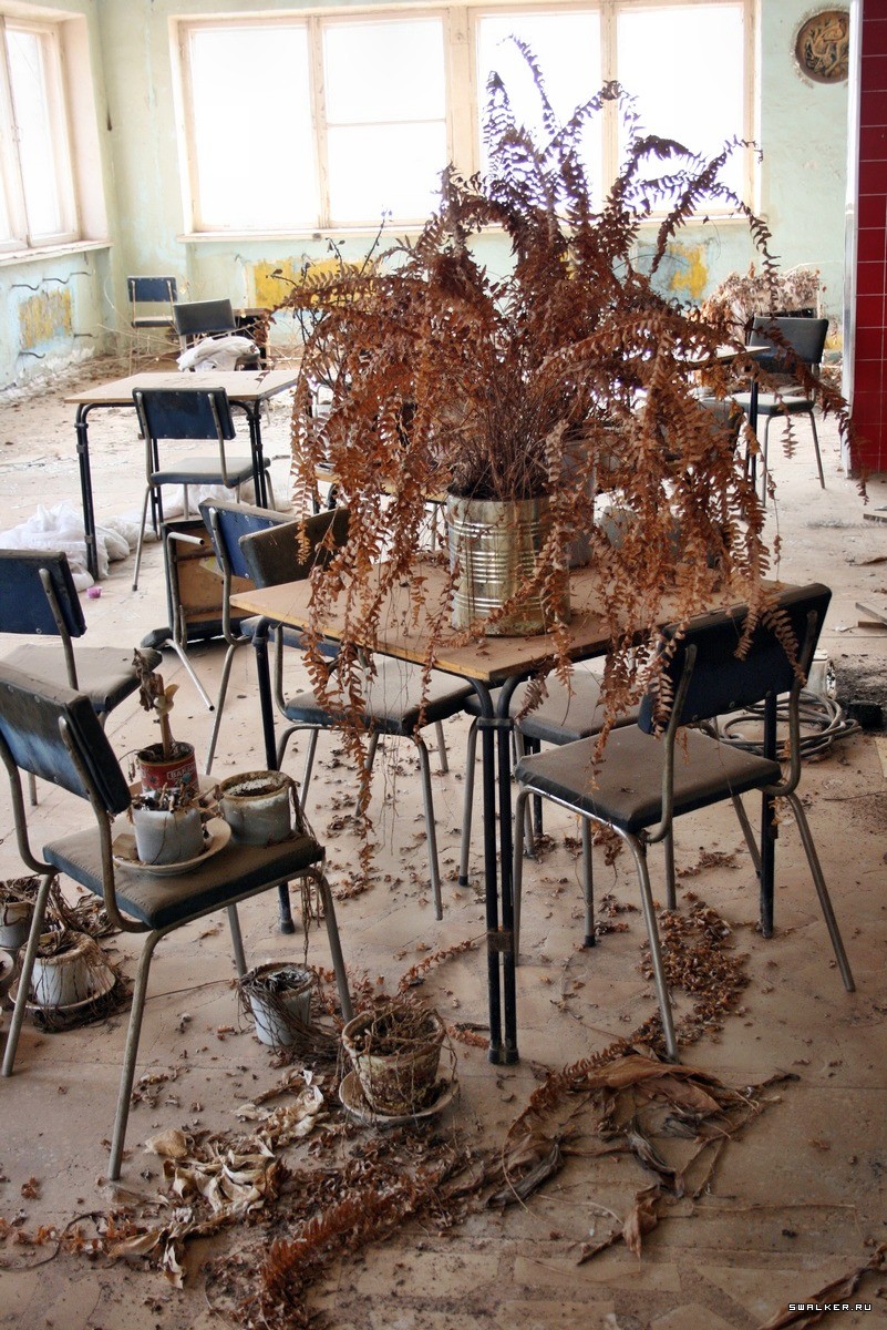 Брошенная заводская столовая, Свердловская область